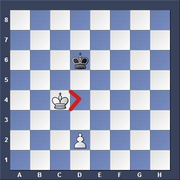 Chess Endings for Beginners